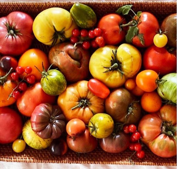 Heirloom Tomatoes