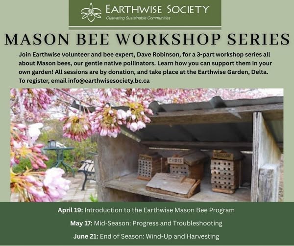 Ew Mason Bees