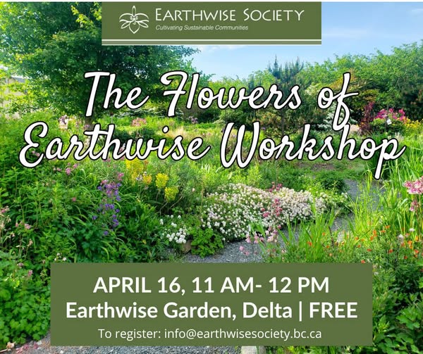 Flowers Of Earthwise Workshop Flowers Of Earthwise Workshop