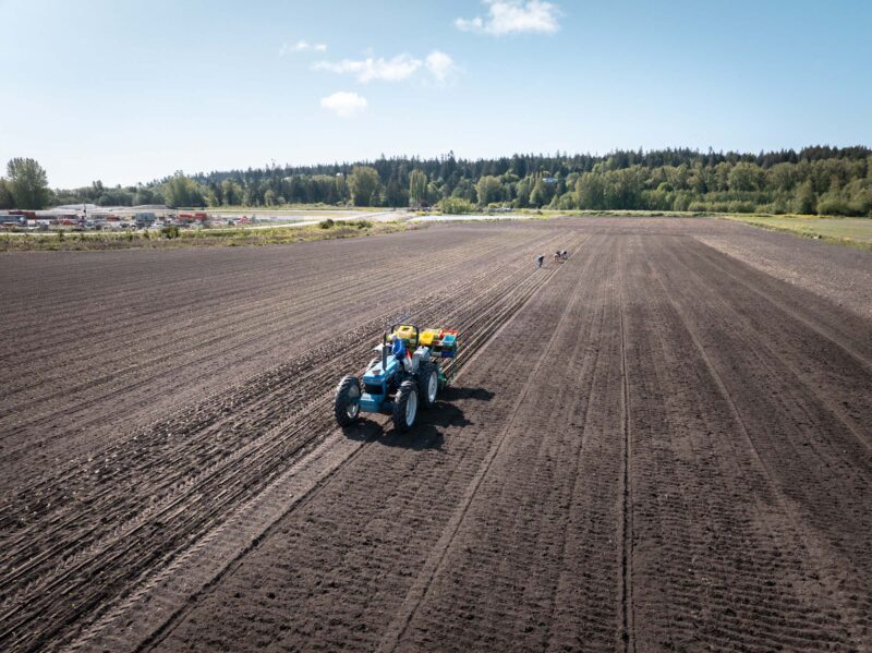 Snow Farms