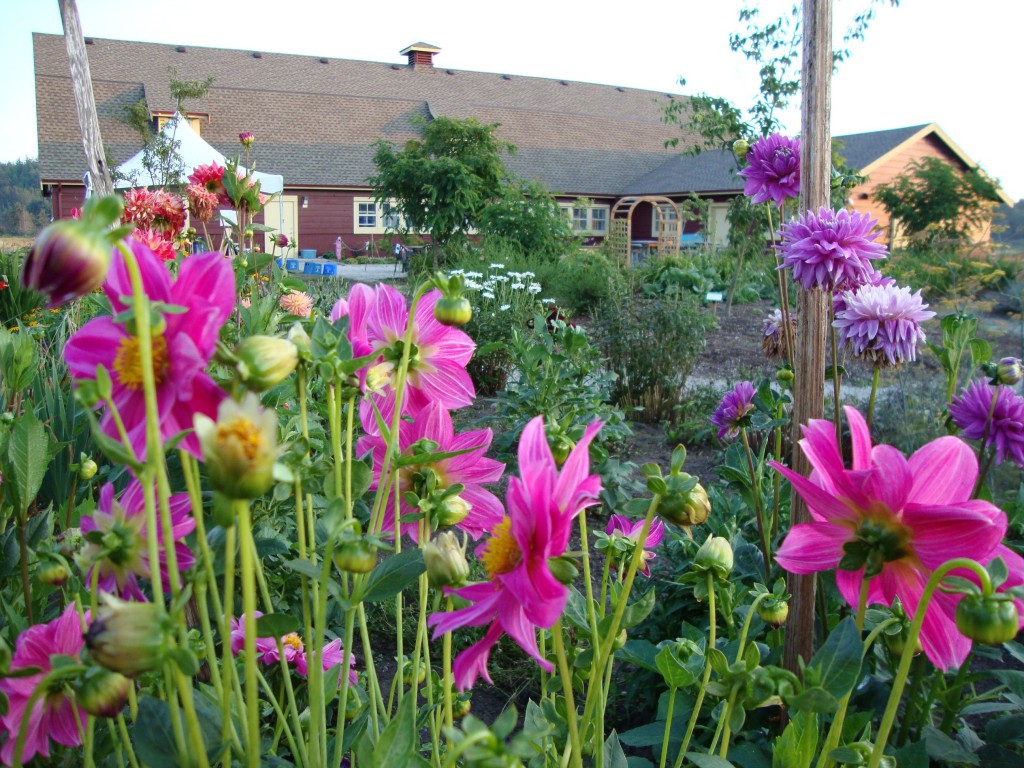 Ew Garden