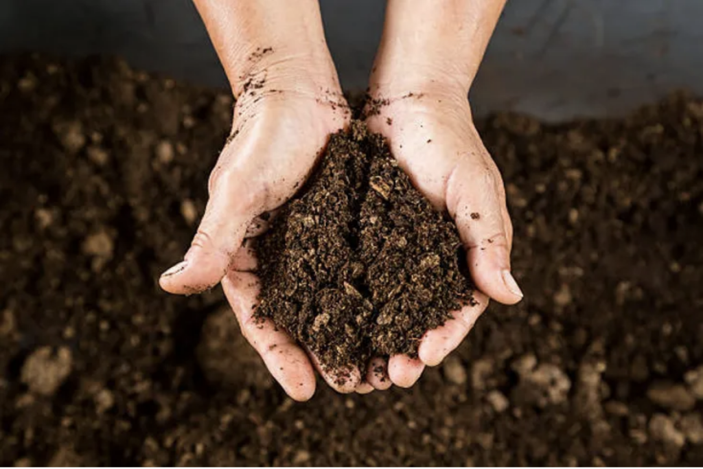 Compost Compost