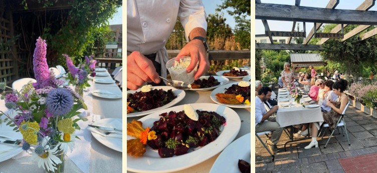 Dinner In The Garden