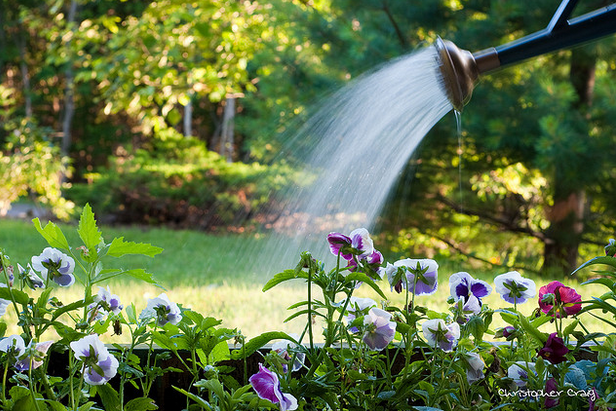 Water Conservation