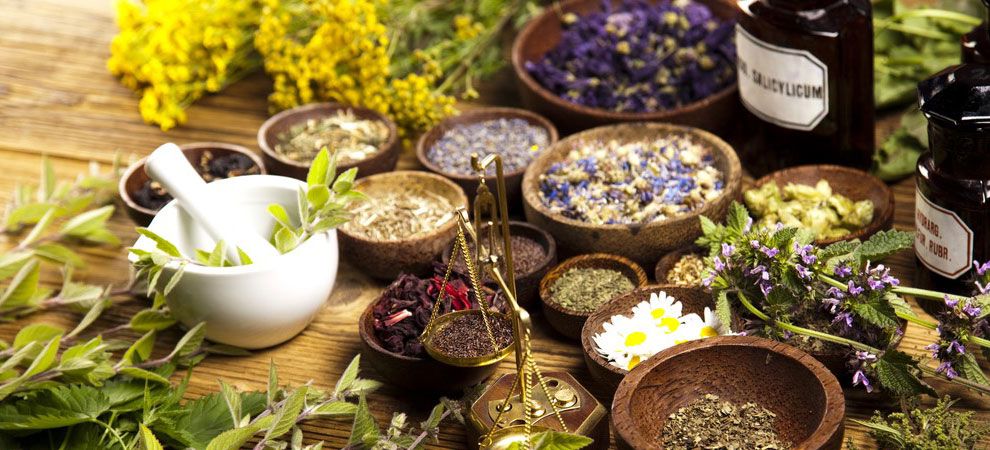 Flowers And Herbs Flowers And Herbs