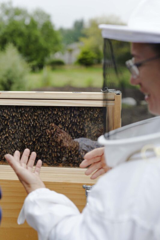 Workshop Bees 3