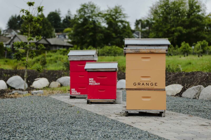 Workshop Bees 4