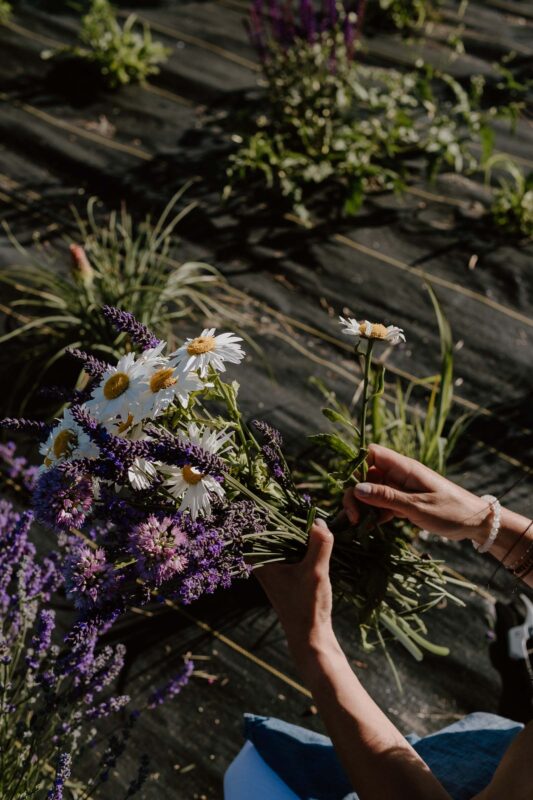 Workshop Flowers 2