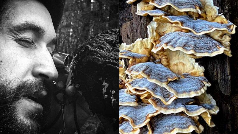 Fungi Walk