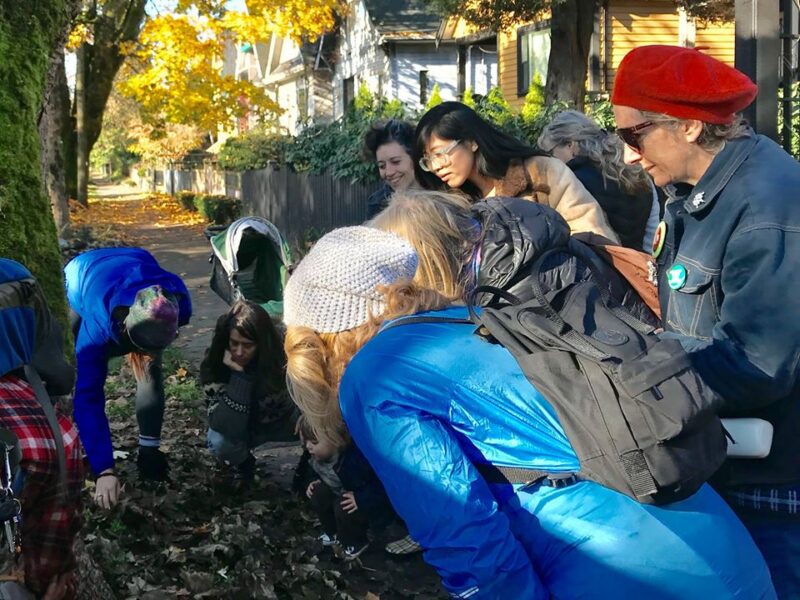 45804850 10156578424140336 4322472017455480832 O