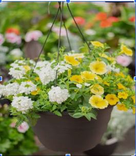 Screenshot 2026 03 04 110111